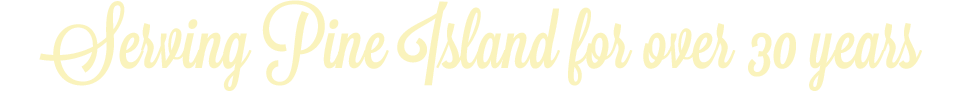 stearns custom logo